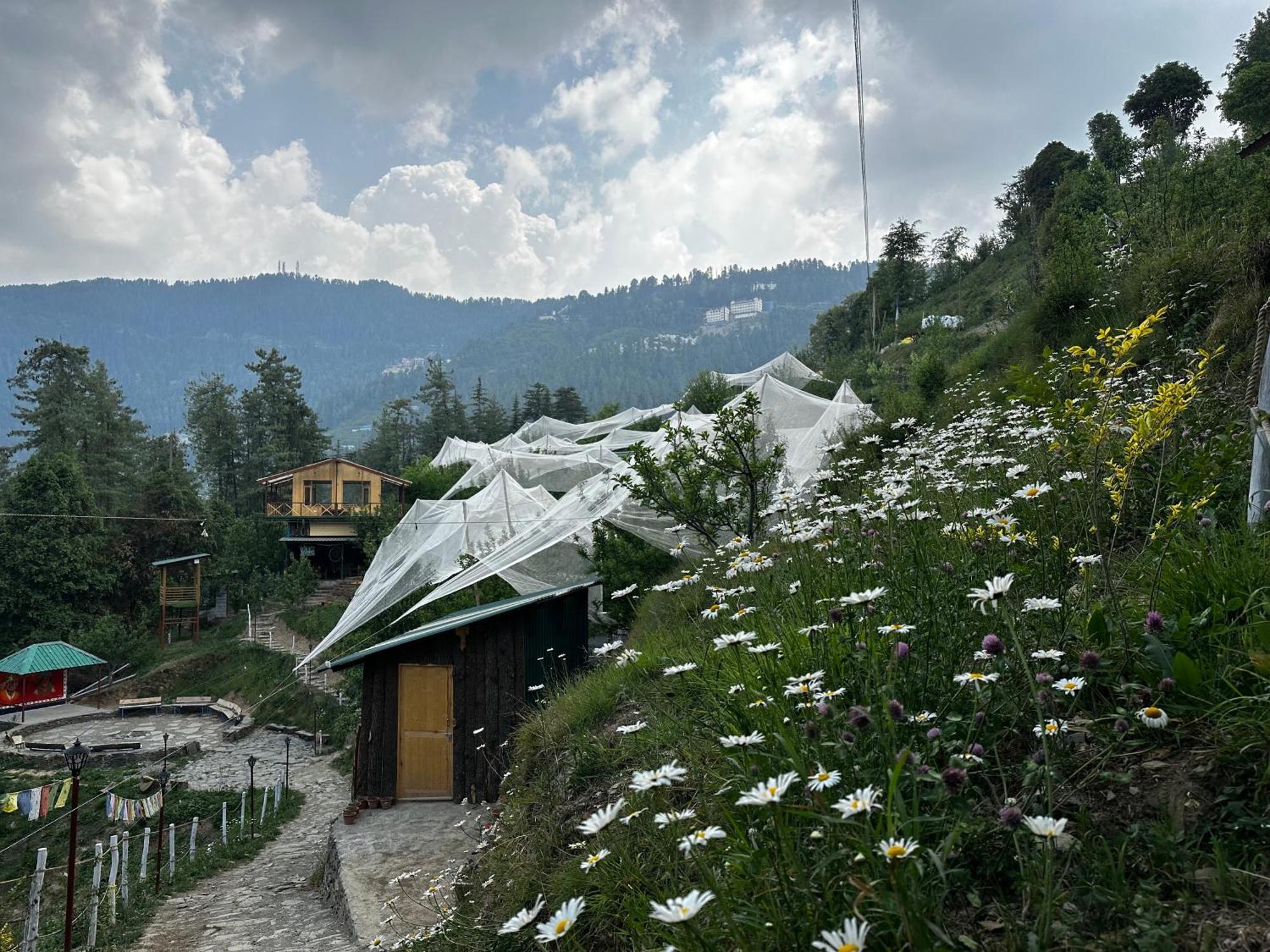 Daak Bangla Retreat Hotel Kufri Buitenkant foto