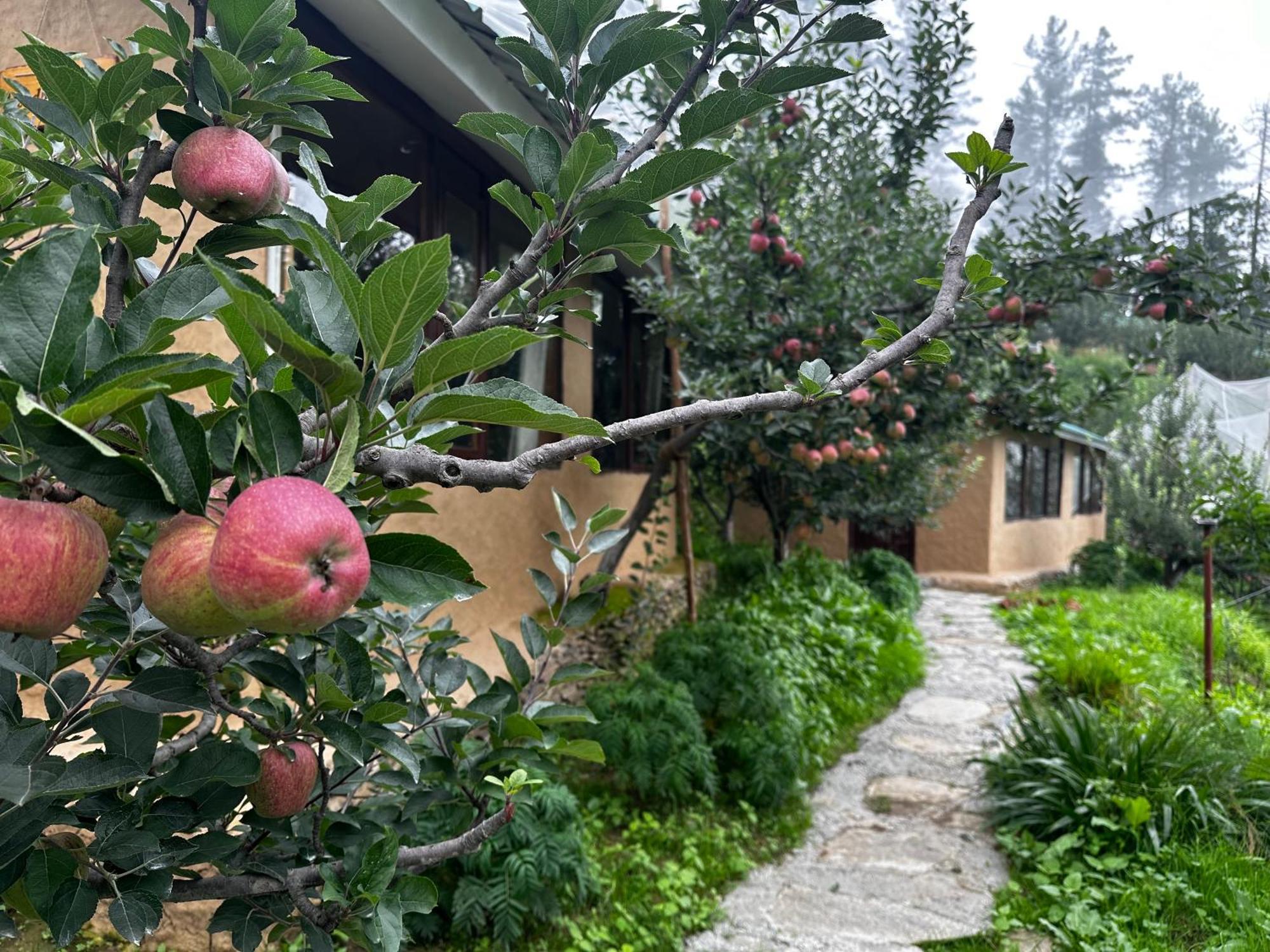 Daak Bangla Retreat Hotel Kufri Buitenkant foto