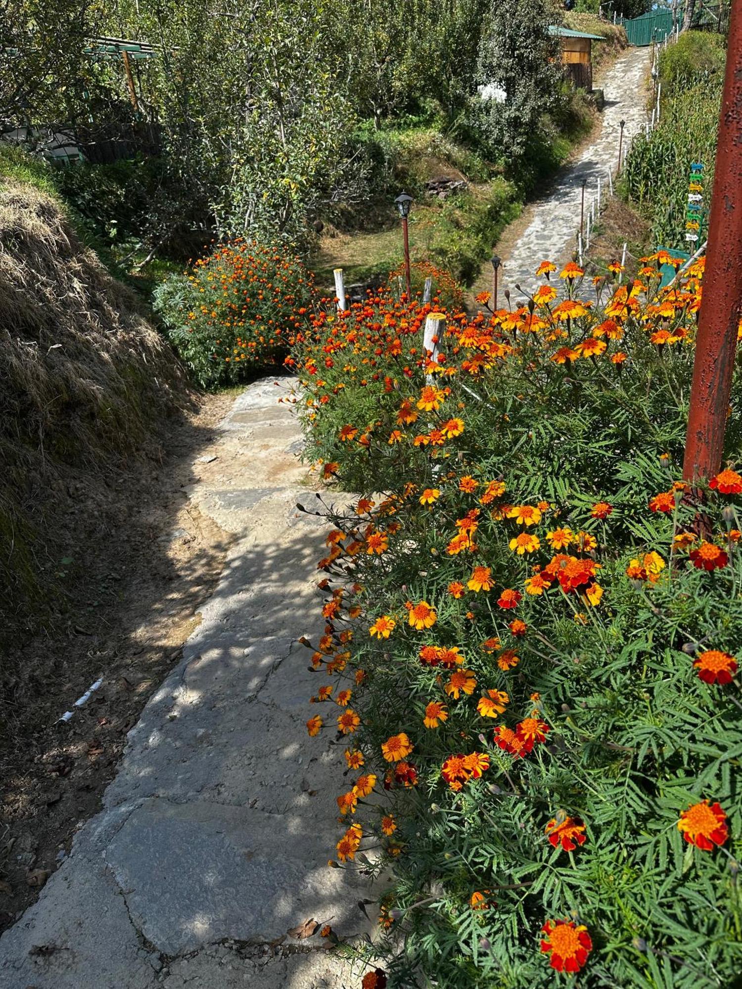 Daak Bangla Retreat Hotel Kufri Buitenkant foto