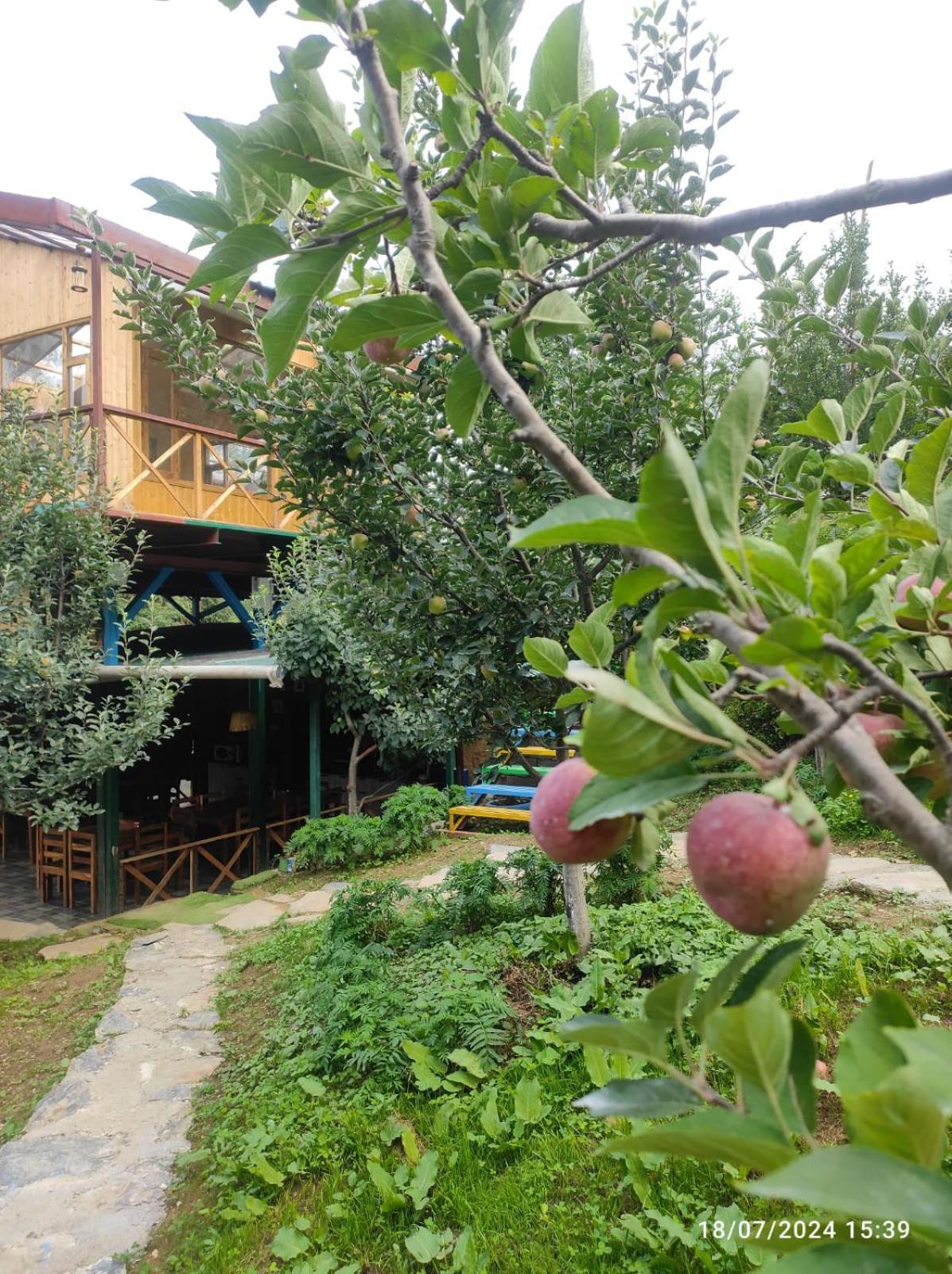 Daak Bangla Retreat Hotel Kufri Buitenkant foto