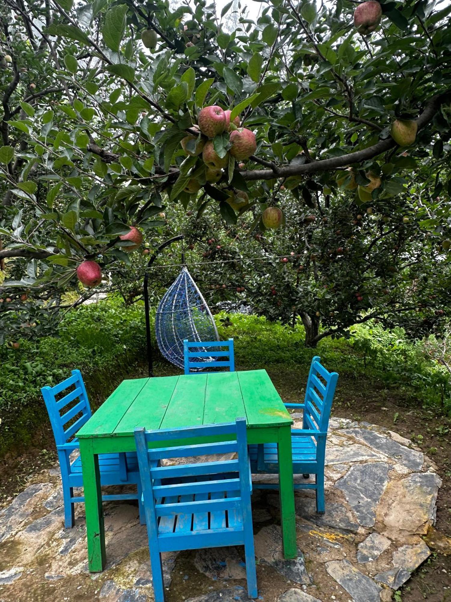 Daak Bangla Retreat Hotel Kufri Buitenkant foto