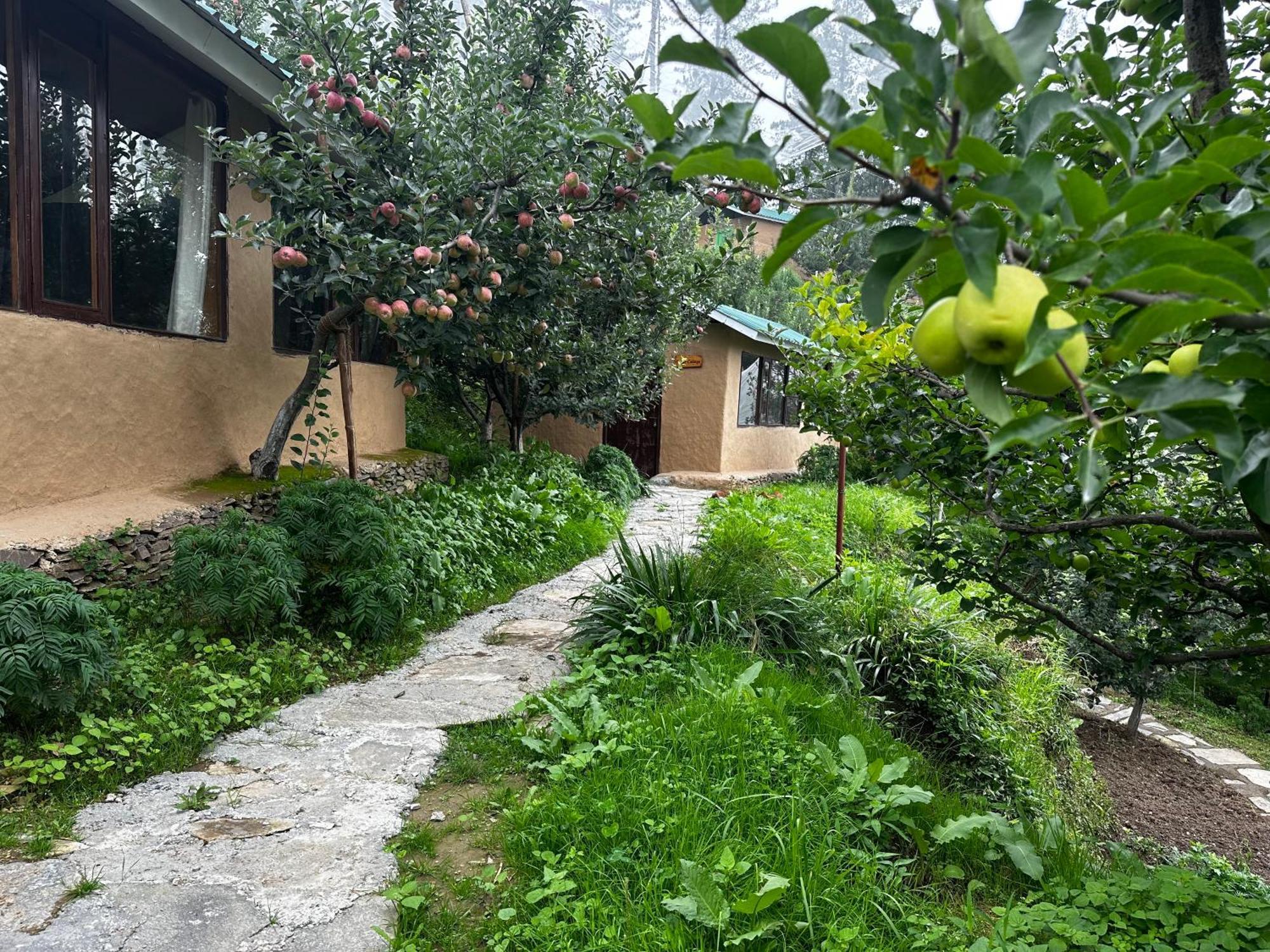 Daak Bangla Retreat Hotel Kufri Buitenkant foto